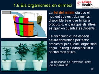 1.9 Els organismes en el medi
                 La llei del mínim diu que el
                 nutrient que es troba menys
                 disponible és el que limita la
                 producció, encara que els altres
                 estiguin en quantitats suficients.

                 La distribució d’una espècie
                 estarà controlada pel factor
                 ambiental per el què l’organisme
                 tingui un rang d’adaptabilitat o
                 control més estret.

                 La mancança de P provoca l’estat
                 de la planta CK
                                                40
 