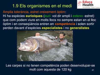 1.9 Els organismes en el medi
Amplia tolerància, estret creixement òptim:
Hi ha espècies eurioiques (euri- vol dir ampli i esteno- estret)
que com podem viure en molts llocs no sempre estan en el lloc
òptim i en conseqüència entren en competència i solen sortir
perden davant d’espècies especialistes i no generalistes




 Les carpes si no tenen competència poden desenvolupar-se
                 molt com aquesta de 120 kg            41
 
