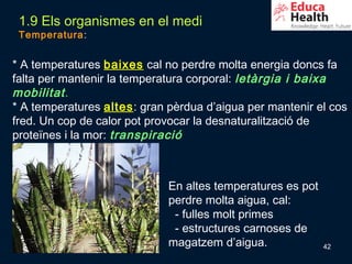 1.9 Els organismes en el medi
 Temperatura:


* A temperatures baixes cal no perdre molta energia doncs fa
falta per mantenir la temperatura corporal: letàrgia i baixa
mobilitat .
* A temperatures altes: gran pèrdua d’aigua per mantenir el cos
fred. Un cop de calor pot provocar la desnaturalització de
proteïnes i la mor: transpiració



                             En altes temperatures es pot
                             perdre molta aigua, cal:
                              - fulles molt primes
                              - estructures carnoses de
                             magatzem d’aigua.              42
 