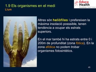 1.9 Els organismes en el medi
Llum



                  Altres són heliòfiles i prefereixen la
                  màxima insolació posssible, tenen
                  tendència a ocupar els estrats
                  superiors.

                  En el mar també hi ha estrats entre 0 i
                  200m de profunditat (zona fòtica). En la
                  zona afòtica no podem trobar
                  organismes fotosintètics.




                                                      45
 