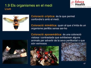 1.9 Els organismes en el medi
Llum

                Coloració críptica : és la que permet
                confondre’s amb el medi.

                Coloració mimètica : quan al que s’imita és un
                organisme perillós sense ser-ho

                Coloració aposemàtica : és una coloració
                vistosa i contrastada que exhibeixen alguns
                animals per advertir de la seva perillositat o que
                són verinosos




                                                                47
 
