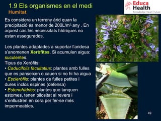 1.9 Els organismes en el medi
 Humitat
Es considera un terreny àrid quan la
precipitació és menor de 200L/m2·any . En
aquest cas les necessitats hídriques no
estan assegurades.

Les plantes adaptades a suportar l’aridesa
s’anomenen Xeròfites. Si acumulen aigua:
suculentes.
Tipus de Xeròfits:
• Caducifolis facultatius: plantes amb fulles
que es panseixen o cauen si no hi ha aigua
• Escleròfils: plantes de fulles petites i
dures inclòs espines (defensa)
• Estenohídrics: plantes que tanquen
estomes, tenen pilositat al revers i
s’enllustren en cera per fer-se més
impermeables.
                                                49
 