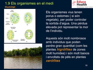 1.9 Els organismes en el medi
Humitat

                        Els organismes vius tenen
                        porus o estomes ( si són
                        vegetals), per poder controlar
                        la sortida d’aigua. Una pèrdua
                        elevada pot representar la mor
                        de l’individu.

                        Aquests són molt nombrosos
                        amb individus que poden
                        perdre gran quantitat (com les
                        plantes higròfites de zones
                        molt humides) i són molt baixos
                        i envoltats de pèls en plantes
                        xeròfites
                                                    50
 