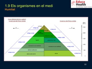 1.9 Els organismes en el medi
Humitat




                                51
 