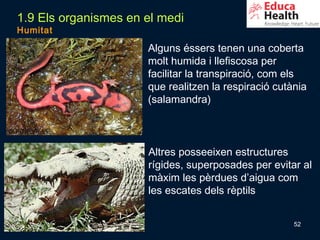1.9 Els organismes en el medi
Humitat

                      Alguns éssers tenen una coberta
                      molt humida i llefiscosa per
                      facilitar la transpiració, com els
                      que realitzen la respiració cutània
                      (salamandra)



                      Altres posseeixen estructures
                      rígides, superposades per evitar al
                      màxim les pèrdues d’aigua com
                      les escates dels rèptils


                                                      52
 