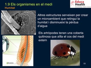 1.9 Els organismes en el medi
Humitat

                    Altres estructures serveixen per crear
                    un microambient que retingui la
                    humitat i disminueixi la pèrdua
                    d’aigua

                    Els artròpodes tenen una coberta
                    quitinosa que aïlla el cos del medi
                    extern




                                                      53
 