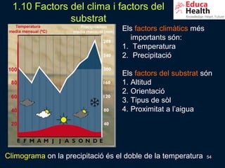 1.10 Factors del clima i factors del
               substrat
                                  Els factors climàtics més
                                     importants són:
                                  1. Temperatura
                                  2. Precipitació

                                  Els factors del substrat són
                                  1. Altitud
                                  2. Orientació
                                  3. Tipus de sòl
                                  4. Proximitat a l’aigua




Climograma on la precipitació és el doble de la temperatura   54
 