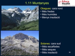 1.11 Muntanyes
         Obagues: cara nord
         • Més fredes
         • Més humides
         • Menys insolació




         Solanes: cara sud
         • Més escalfades
         • Més seques
         • Més insolació      56
 