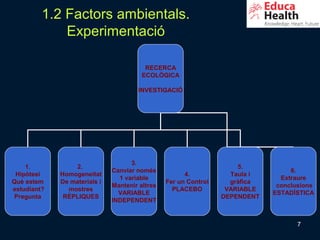 1.2 Factors ambientals.
             Experimentació

                                         RECERCA
                                        ECOLÒGICA

                                      INVESTIGACIÓ




                                    3.
    1.           2.                                                  5.
                              Canviar només                                       6.
 Hipòtesi    Homogeneitat                             4.           Taula i
                                1 variable                                     Extraure
Què estem    De materials i                     Fer un Control     gràfica
                              Mantenir altres                                 conclusions
estudiant?     mostres                            PLACEBO         VARIABLE
                                VARIABLE                                     ESTADÍSTICA
 Pregunta     RÈPLIQUES                                          DEPENDENT
                              INDEPENDENT


                                                                                    7
 