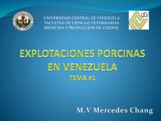 UNIVERSIDAD CENTRAL DE VENEZUELA
FACULTAD DE CIENCIAS VETERINARIAS
MEDICINA Y PRODUCCION DE CERDOS
 