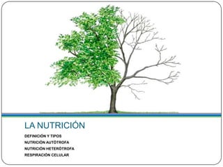 LA NUTRICIÓN
DEFINICIÓN Y TIPOS
NUTRICIÓN AUTÓTROFA
NUTRICIÓN HETERÓTROFA
RESPIRACIÓN CELULAR
 