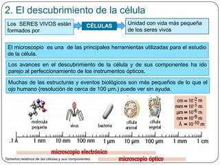 2. El descubrimiento de la célula
Los SERES VIVOS están
formados por
CÉLULAS
Unidad con vida más pequeña
de los seres vivos
El microscopio es una de las principales herramientas utilizadas para el estudio
de la célula.
Tamaños relativos de las células y sus componentes
Muchas de las estructuras y eventos biológicos son más pequeños de lo que el
ojo humano (resolución de cerca de 100 µm.) puede ver sin ayuda.
Los avances en el descubrimiento de la célula y de sus componentes ha ido
parejo al perfeccionamiento de los instrumentos ópticos.
 