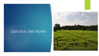 Llanuras del Norte
 