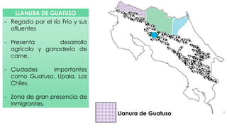 LLANURA DE GUATUSO
- Regada por el río Frío y sus
afluentes
- Presenta desarrollo
agrícola y ganadería de
carne.
- Ciudades importantes
como Guatuso, Upala, Los
Chiles.
- Zona de gran presencia de
inmigrantes.
Llanura de Guatuso
 