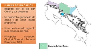 LLANURA DE SAN CARLOS
- Regada por el Río San
Carlos y sus afluentes
- Se desarrolla ganadería de
carne y de leche (doble
propósito).
- Zona de desarrollo agrícola
más grandes del País.
- Principales ciudades:
Ciudad Quesada, Fortuna,
Florencia y Pital
Llanura de San Carlos
 