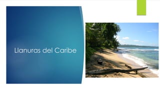 Llanuras del Caribe
 