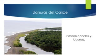 Llanuras del Caribe
Poseen canales y
lagunas.
 