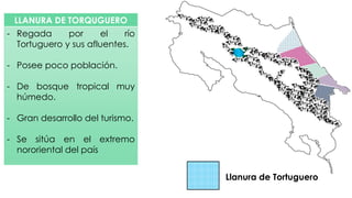 LLANURA DE TORQUGUERO
- Regada por el río
Tortuguero y sus afluentes.
- Posee poco población.
- De bosque tropical muy
húmedo.
- Gran desarrollo del turismo.
- Se sitúa en el extremo
nororiental del país
Llanura de Tortuguero
 