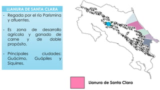 LLANURA DE SANTA CLARA
- Regada por el río Parismina
y afluentes.
- Es zona de desarrollo
agrícola y ganado de
carne y de doble
propósito.
- Principales ciudades:
Guácimo, Guápiles y
Siquirres.
Llanura de Santa Clara
 