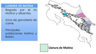 LLANURA DE MATINA
- Regada por el río
Matina y afluentes.
- Zona de ganadería de
carne.
- Principales
poblaciones Matina y
Batán.
Llanura de Matina
 