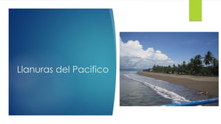 Llanuras del Pacifico
 