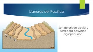 Llanuras del Pacifico
Son de origen aluvial y
fértil para actividad
agropecuaria.
 