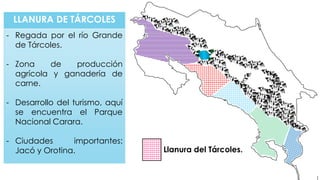 LLANURA DE TÁRCOLES
- Regada por el río Grande
de Tárcoles.
- Zona de producción
agrícola y ganadería de
carne.
- Desarrollo del turismo, aquí
se encuentra el Parque
Nacional Carara.
- Ciudades importantes:
Jacó y Orotina. Llanura del Tárcoles.
 