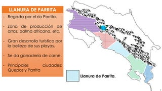 LLANURA DE PARRITA
- Regada por el río Parrita.
- Zona de producción de
arroz, palma africana, etc.
- Gran desarrollo turístico por
la belleza de sus playas.
- Se da ganadería de carne.
- Principales ciudades:
Quepos y Parrita
Llanura de Parrita.
 