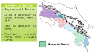 LLANURA DE TÉRRABA
- Regada por el río Térraba.
- Se da la producción de
cacao, banano, arroz y
frijoles.
- Zona de ganadería de
carne.
- Principales ciudades
Palmar Norte y Ciudad
Cortés.
Llanura de Térraba.
 