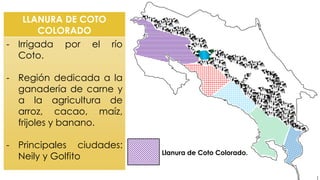 LLANURA DE COTO
COLORADO
- Irrigada por el río
Coto.
- Región dedicada a la
ganadería de carne y
a la agricultura de
arroz, cacao, maíz,
frijoles y banano.
- Principales ciudades:
Neily y Golfito Llanura de Coto Colorado.
 