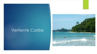 Vertiente Caribe
 