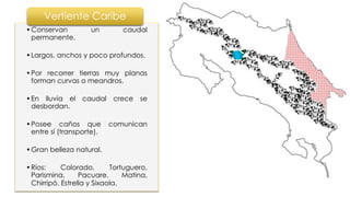 •Conservan un caudal
permanente.
•Largos, anchos y poco profundos.
•Por recorrer tierras muy planas
forman curvas o meandros.
•En lluvia el caudal crece se
desbordan.
•Posee caños que comunican
entre sí (transporte).
•Gran belleza natural.
•Ríos: Colorado, Tortuguero,
Parismina, Pacuare, Matina,
Chirripó, Estrella y Sixaola.
Vertiente Caribe
 