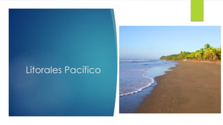 Litorales Pacífico
 