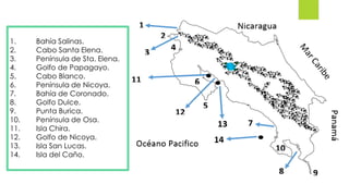 1. Bahía Salinas.
2. Cabo Santa Elena.
3. Península de Sta. Elena.
4. Golfo de Papagayo.
5. Cabo Blanco.
6. Península de Nicoya.
7. Bahía de Coronado.
8. Golfo Dulce.
9. Punta Burica.
10. Península de Osa.
11. Isla Chira.
12. Golfo de Nicoya.
13. Isla San Lucas.
14. Isla del Caño.
 