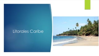 Litorales Caribe
 