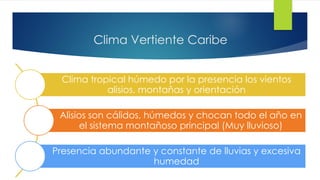Clima Vertiente Caribe
Clima tropical húmedo por la presencia los vientos
alisios, montañas y orientación
Alisios son cálidos, húmedos y chocan todo el año en
el sistema montañoso principal (Muy lluvioso)
Presencia abundante y constante de lluvias y excesiva
humedad
 