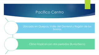 Pacífico Centro
Ubicado en Quepos, Valle del General y Región de los
Santos
Clima tropical con dos períodos (lluvia/Seco)
 