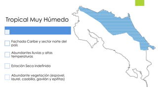 Tropical Muy Húmedo
Fachada Caribe y sector norte del
país
Abundantes lluvias y altas
temperaturas
Estación Seca indefinida
Abundante vegetación (espavel,
laurel, caobilla, gavilán y epifitas)
 