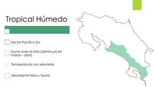 Tropical Húmedo
Sector Pacífico Sur
lluvias todo el año (disminuye en
marzo – abril)
Temperaturas son elevadas
Abundante flora y fauna
 