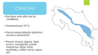 Clima Frío
•Sectores más altos de las
cordilleras.
•Temperaturas 10º C.
•Fauna especializada (páramo:
escasa y pequeña).
•Fauna: monos, jaguar, tigre,
puma, manigordo, pizote,
mapache, lapas, loras,
quetzales, colibrí, ranas, sapos,
etc
 