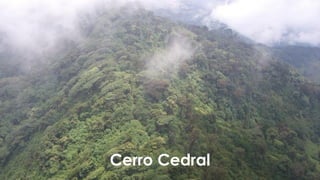 Cerro Cedral
 