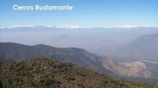 Cerros Bustamante
 