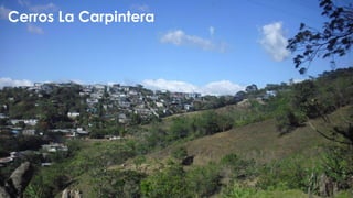 Cerros La Carpintera
 