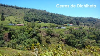 Cerros de Dichiheta
 