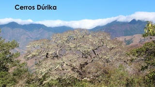 Cerros Dúrika
 