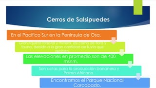 Cerros de Salsipuedes
En el Pacífico Sur en la Península de Osa.
Gran riqueza forestal y minera, así como de flora y
fauna, debido a la gran cantidad de lluvia que
reciben.
Las elevaciones en promedio son de 400
msnm.
Son actas para la producción bananera y
Palma Africana.
Encontramos el Parque Nacional
Corcobado.
 
