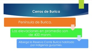 Cerros de Burica
Península de Burica.
Las elevaciones en promedio son
de 400 msnm.
Alberga la Reserva Conte Burica habitada
por indígenas guaymies.
 