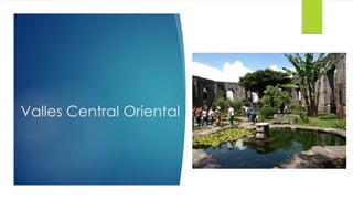 Valles Central Oriental
 