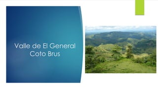 Valle de El General
Coto Brus
 