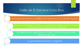 Valle de El General Coto Brus
Está ubicado entre la cordillera de Talamanca y la Fila Brunqueña.
Ríos como el General y Coto Brus, se unen en Paso Real y forman el Grande
de Térraba, que es la más grande y caudaloso.
Se destacan la agricultura de café, caña de azúcar, piña,
tabaco, maíz, etc.
La ganadería de leche y engorde.
 